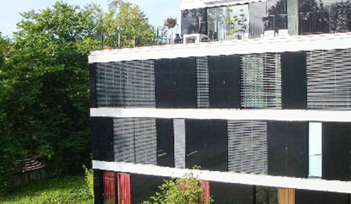 Fehlmann site